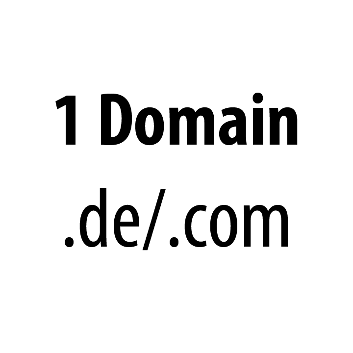 1 professionelle Domain